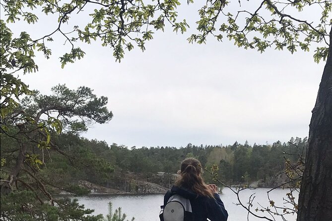 Wolf and Wildlife Tracking in Sweden - Wolf Territory, Not a Zoo Day